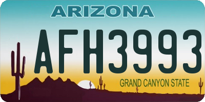 AZ license plate AFH3993