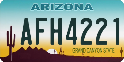 AZ license plate AFH4221