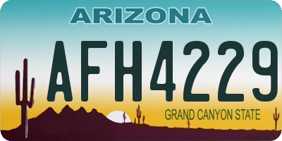 AZ license plate AFH4229