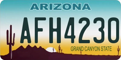 AZ license plate AFH4230