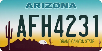 AZ license plate AFH4231