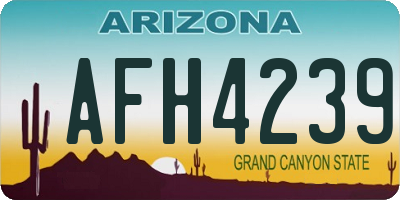 AZ license plate AFH4239