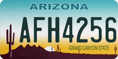 AZ license plate AFH4256