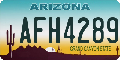 AZ license plate AFH4289