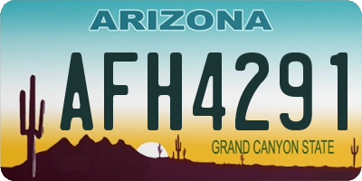 AZ license plate AFH4291