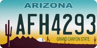 AZ license plate AFH4293