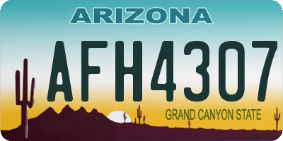AZ license plate AFH4307