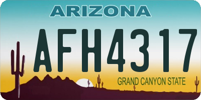 AZ license plate AFH4317
