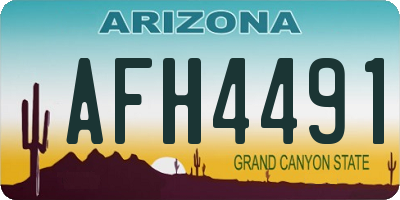 AZ license plate AFH4491