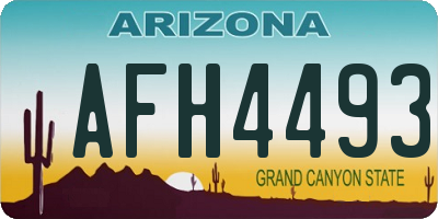 AZ license plate AFH4493