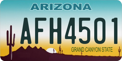 AZ license plate AFH4501