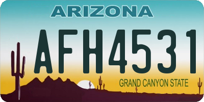 AZ license plate AFH4531