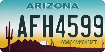 AZ license plate AFH4599