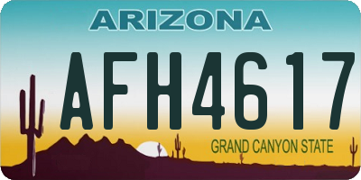 AZ license plate AFH4617