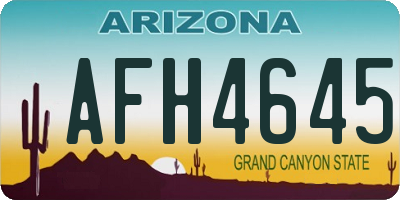 AZ license plate AFH4645