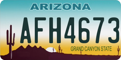 AZ license plate AFH4673
