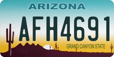 AZ license plate AFH4691