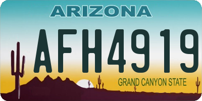 AZ license plate AFH4919