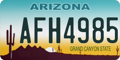 AZ license plate AFH4985