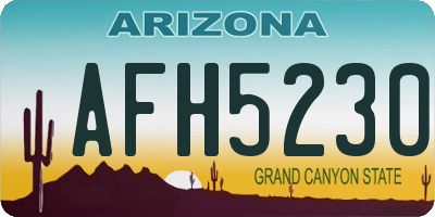 AZ license plate AFH5230