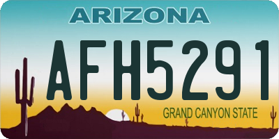 AZ license plate AFH5291
