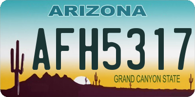 AZ license plate AFH5317