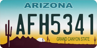 AZ license plate AFH5341