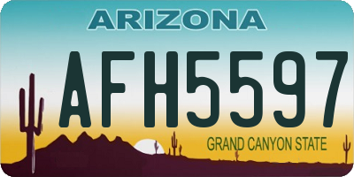 AZ license plate AFH5597