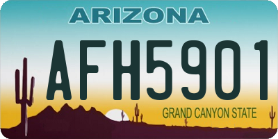 AZ license plate AFH5901