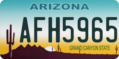 AZ license plate AFH5965