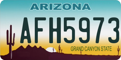 AZ license plate AFH5973