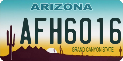 AZ license plate AFH6016