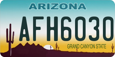 AZ license plate AFH6030