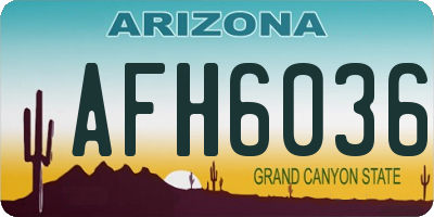AZ license plate AFH6036