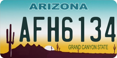 AZ license plate AFH6134