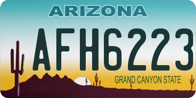 AZ license plate AFH6223