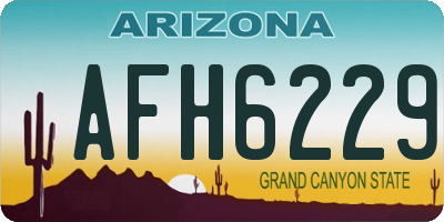 AZ license plate AFH6229