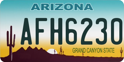 AZ license plate AFH6230