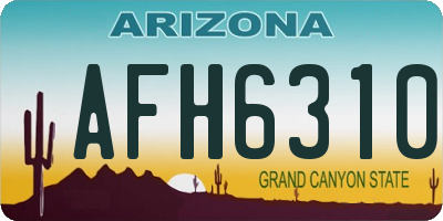 AZ license plate AFH6310