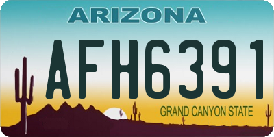 AZ license plate AFH6391