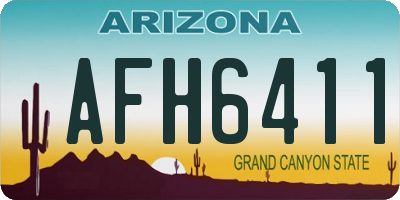 AZ license plate AFH6411