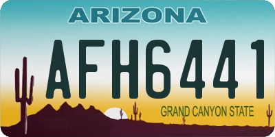 AZ license plate AFH6441