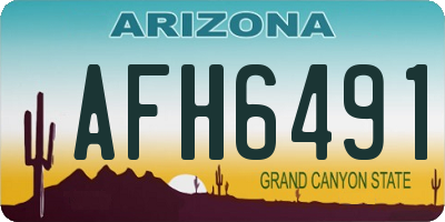 AZ license plate AFH6491