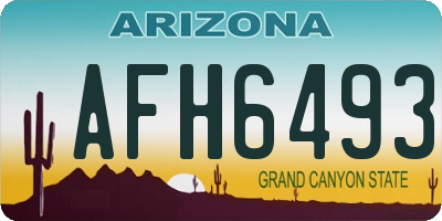 AZ license plate AFH6493