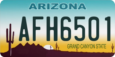 AZ license plate AFH6501