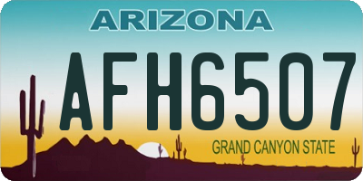 AZ license plate AFH6507
