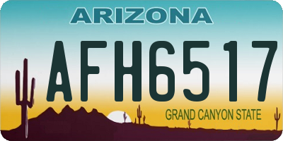 AZ license plate AFH6517