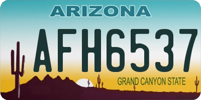 AZ license plate AFH6537