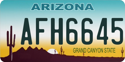 AZ license plate AFH6645