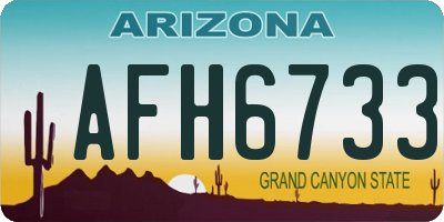 AZ license plate AFH6733